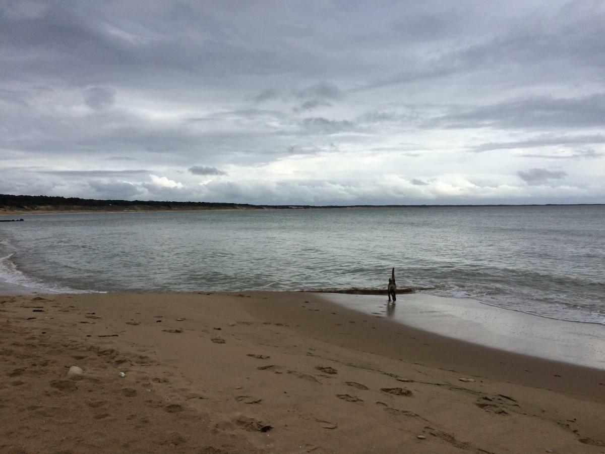 Les Terrasses De Bella Vista - Belle Maison Bord De Mer แซงต์-วันซองต์-ซัวร์-จาร์ ภายนอก รูปภาพ